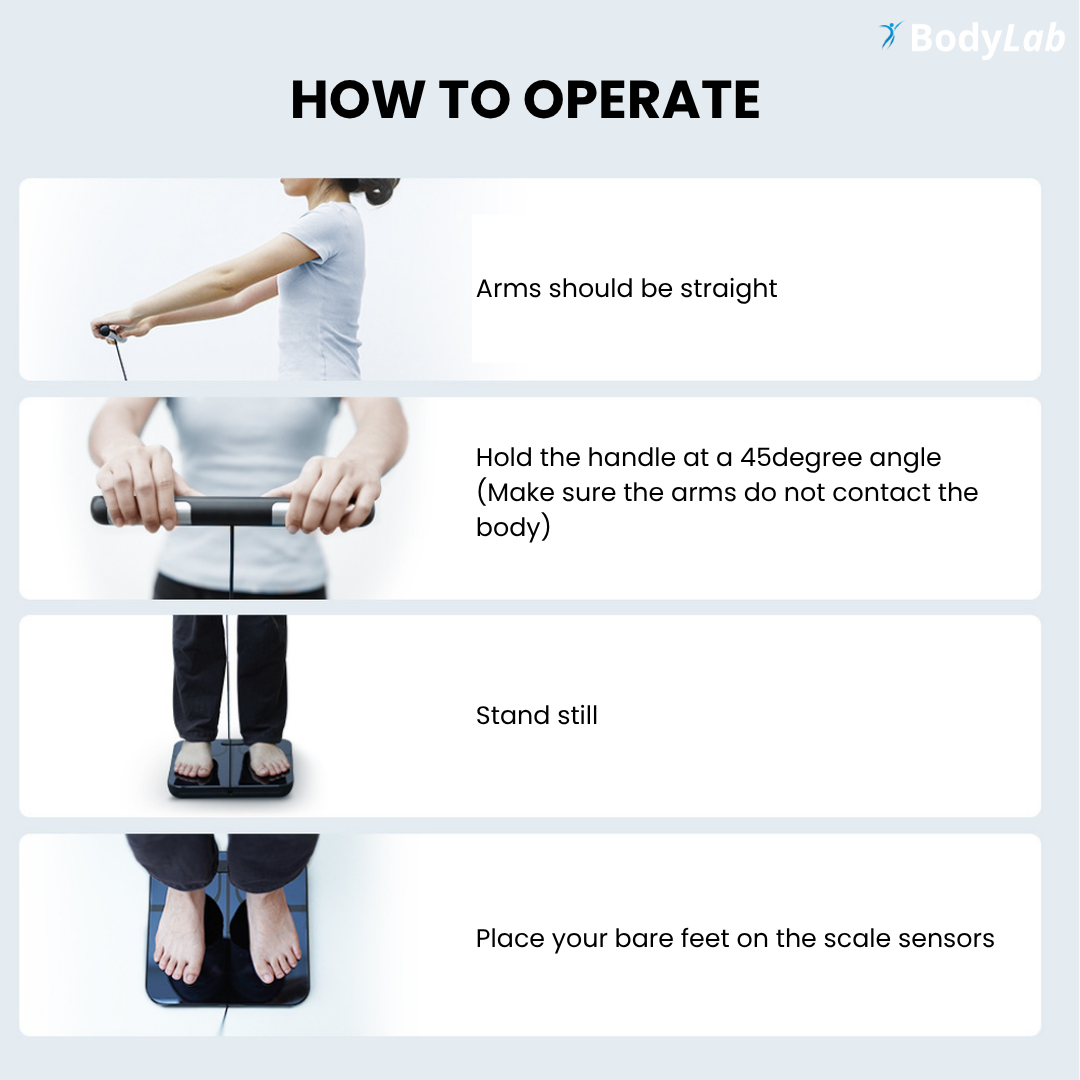 BodyLab Smart Scale